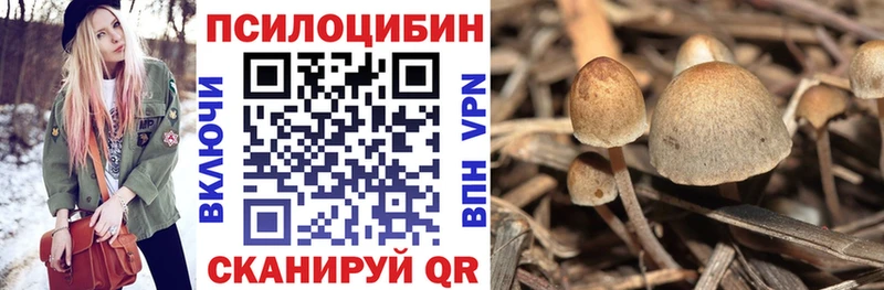 Галлюциногенные грибы прущие грибы  kraken ONION  Тобольск 